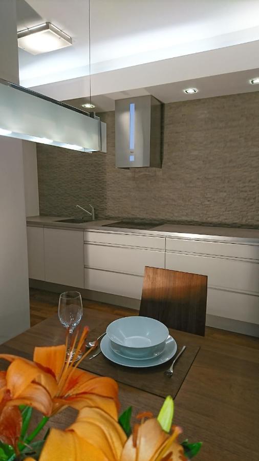 Quiet And Spacious Apartment With Garage Option Cracovie Extérieur photo