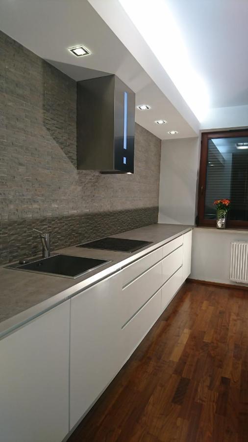Quiet And Spacious Apartment With Garage Option Cracovie Extérieur photo